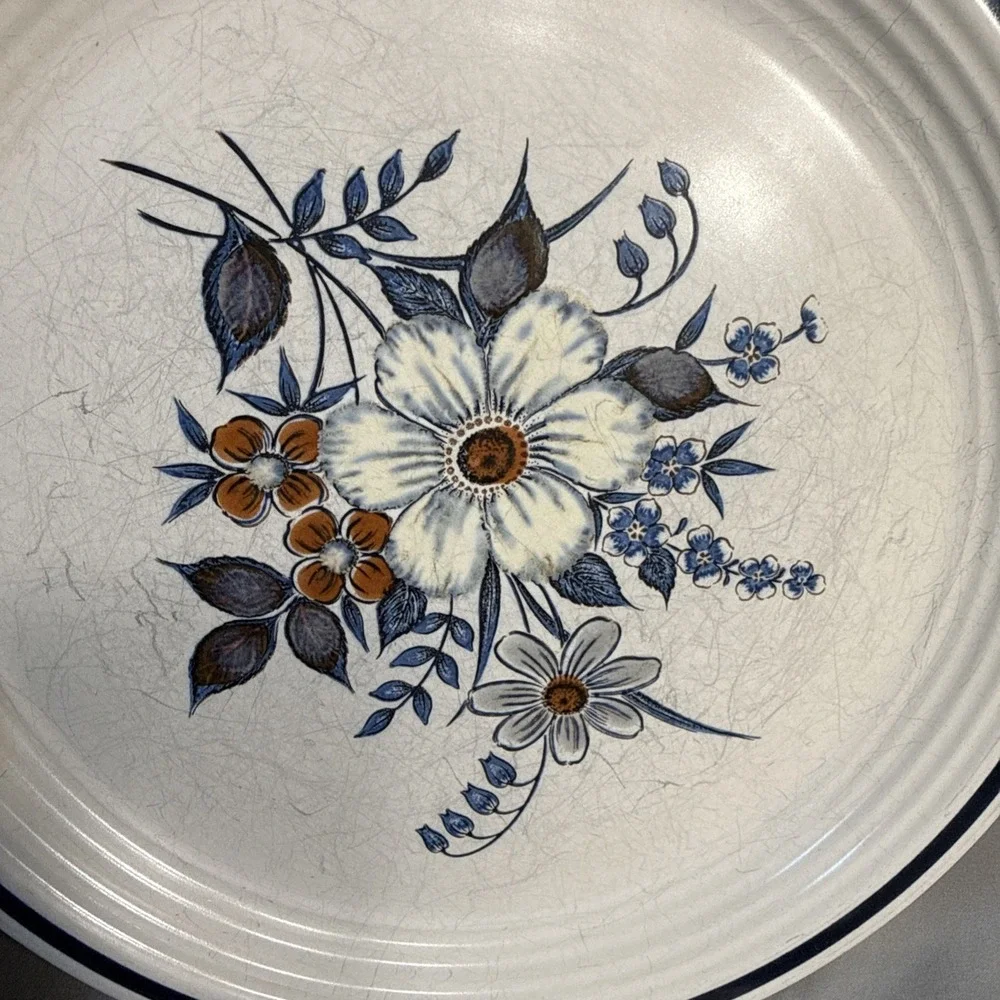 Vintage Town & Country Blue Ridge Stoneware Dinner Plates Set of 4 Japan